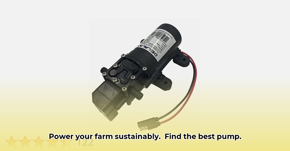 tractor-supply-12-volt-water-pump